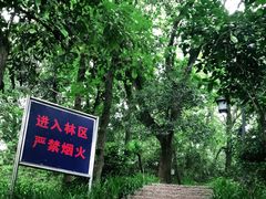 -杭州半山国家森林公园