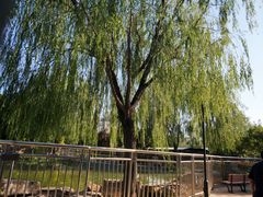 -黄村公园