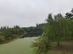 -南湖湿地公园