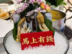 -喜聚薈·花膠雞海鮮火鍋(越秀店)
