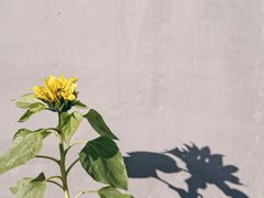 -隹木咖啡馆(宝龙广场店)