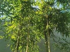 -雅达·阳羡溪山小镇中心