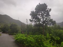 -东海大峡谷