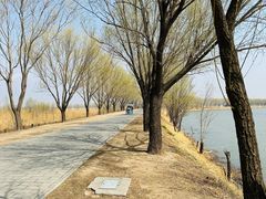 -野鸭湖国家湿地公园