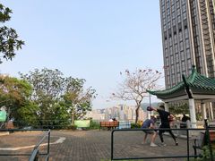 -讯号山花园