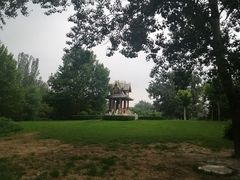 -朝阳公园游乐园