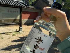 -护国法轮寺