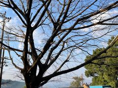 -816工程景区