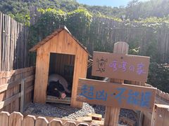 -小时光咖啡馆(开森度假森林店)