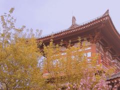 -西安青龙寺遗址景区