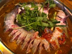 -老凯俚酸汤鱼(鸿通城店)