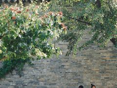 -回龙窝历史文化街区