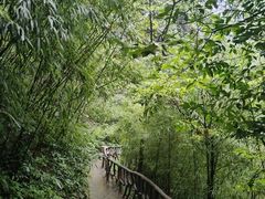 -神龙峡风景区