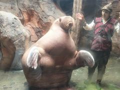 -哈尔滨波塞冬海底世界