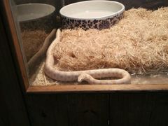 -上海大自然野生昆虫馆