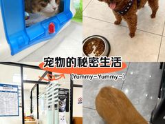 -瑞派雷欧宠物医院·24h夜诊·心脏骨科牙科·全科重症转诊中心(无影山店)