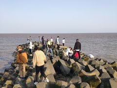 -南汇嘴观海公园