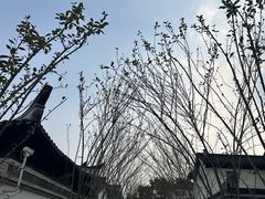 -成都院坝精品私汤民宿酒店