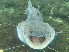 -珠海长隆海洋王国