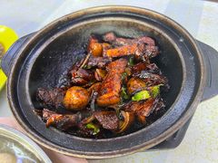 瓦煲干肉骨茶-新记肉骨茶