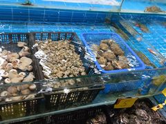 -众彩物流水产市场