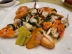-鸿达渔港