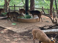 -昆明动物园