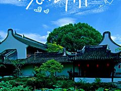 -上海醉白池公园