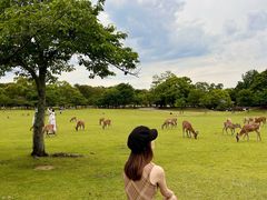 -奈良公园
