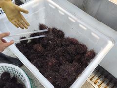 -桃源市场(解放路店)