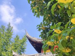 -龙华寺