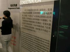 -北京周口店北京人遗址博物馆