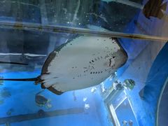 -顺德南宏海立方海洋公园