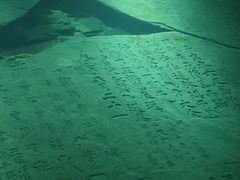-白鹤梁水下博物馆