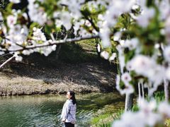 -尚贤河湿地