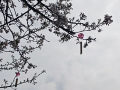 -堤角公园