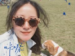 -春花秋色城市公园