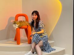 -More Fun猫咖 二十只万元加菲主题