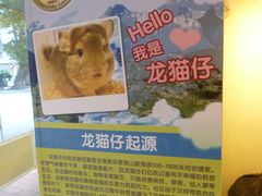 -龙猫仔乐园(惠福东路店)