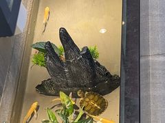 -邵汇大虾火锅(鲁迅路店)
