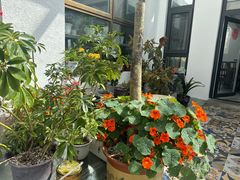 -北京龙庆四季香农家饭庄·灶台鱼·碳烤虹鳟鱼(龙庆峡店)