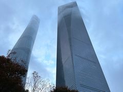 -上海柏悦酒店