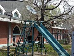 -哈尔滨北方森林动物园