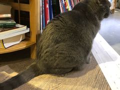 -小时光咖啡馆(开森度假森林店)