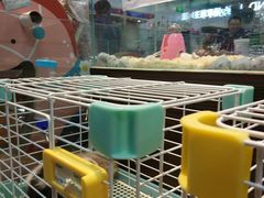 -乐宠宠物店(世纪金源店)