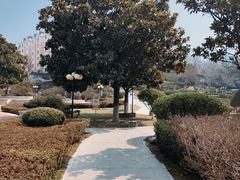 -丁家河公园