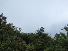 -武陵山森林公园
