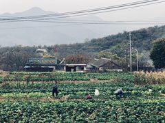 -瓦厂酒店