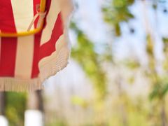 -合肥滨湖国家森林公园