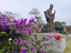 -广西壮族自治区药用植物园